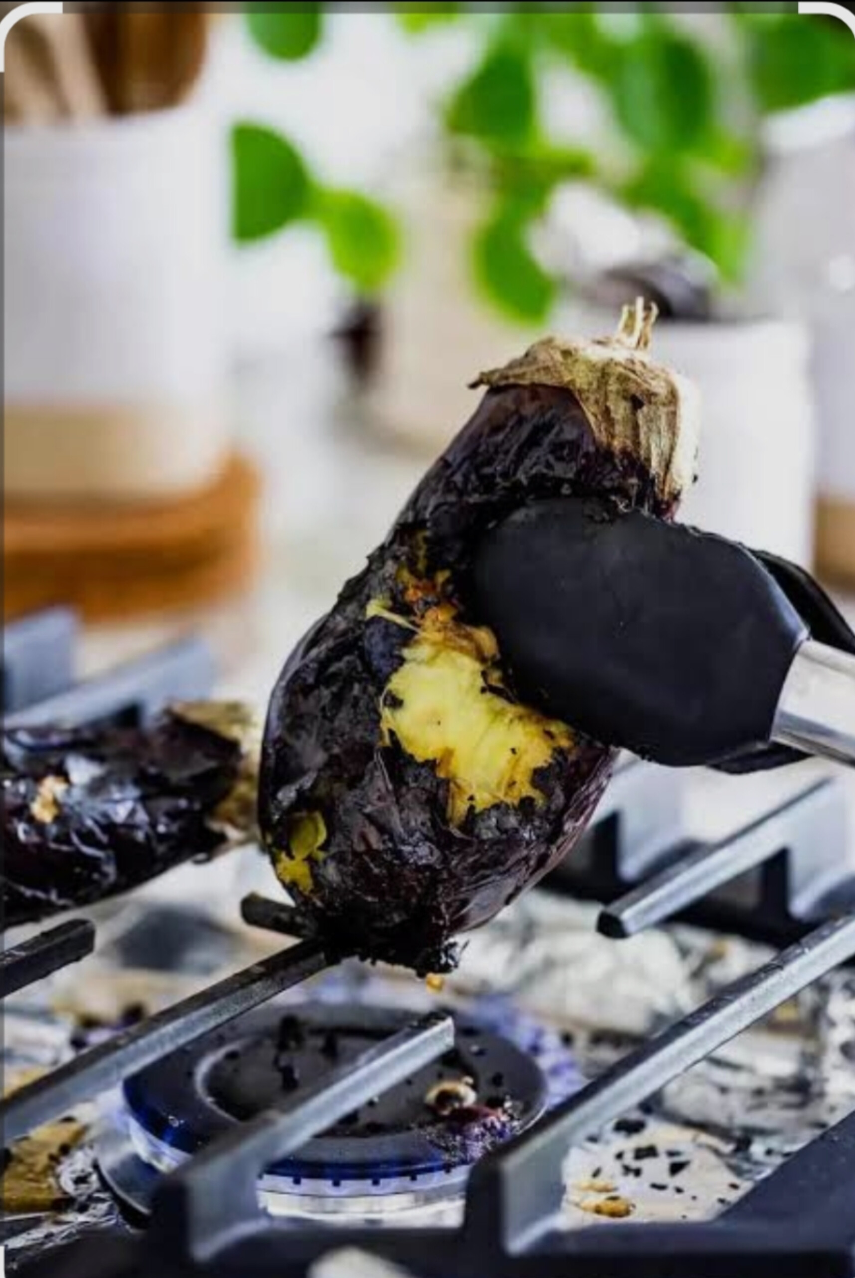 بادمجان کبابی ساطوری